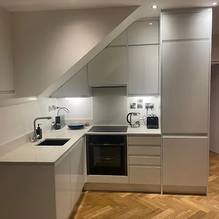 Luxury One Bed Penthouse In D2 * Dublin