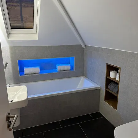 Luxury One Bed Penthouse In D2