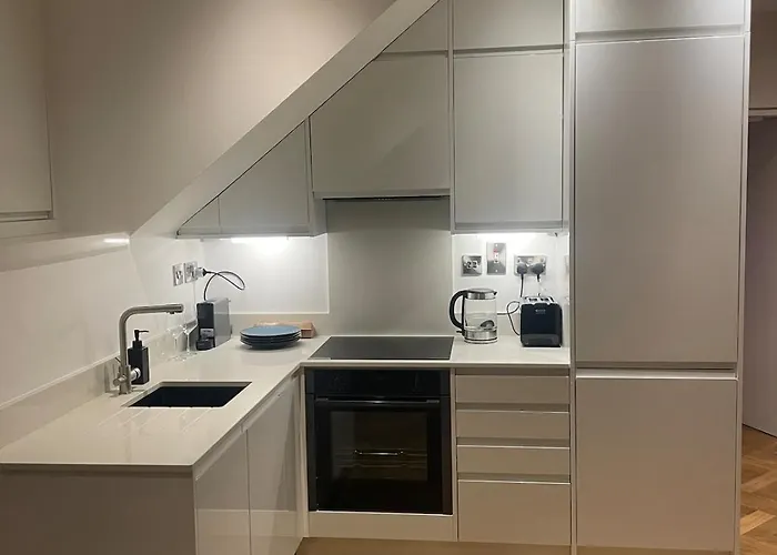Luxury One Bed Penthouse In D2 * Dublin
